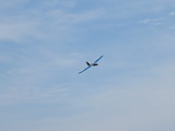 IMG_4558