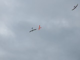 IMG_4691