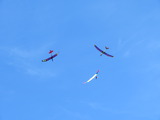 IMG_8449