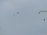 IMG_5101