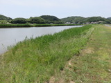 IMG_4443