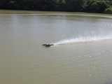IMG_5191