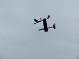 IMG_8711