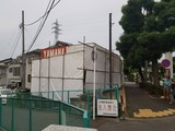 1498994855263