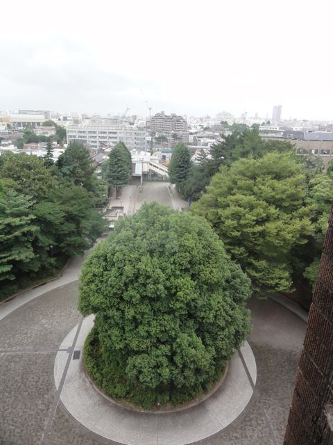 110730»þ·×ÂæÄ¯¤á