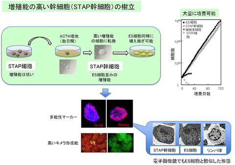 140130fig7