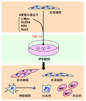 2b037a99