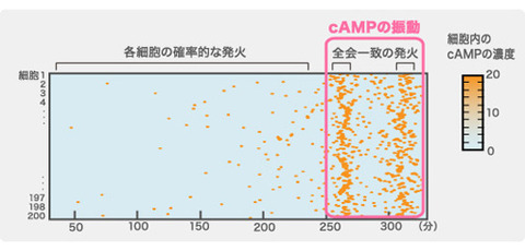 research04_img02