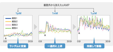 research03_img01