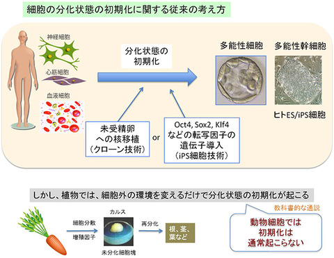 140130fig2