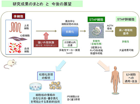 140130fig8