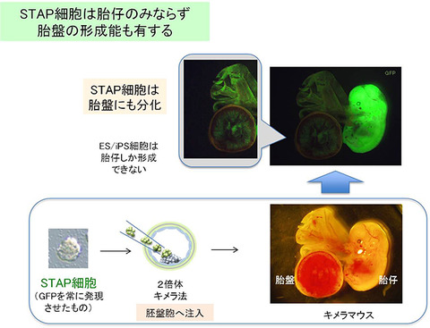 140130fig6