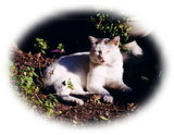 ed722dc1.jpg