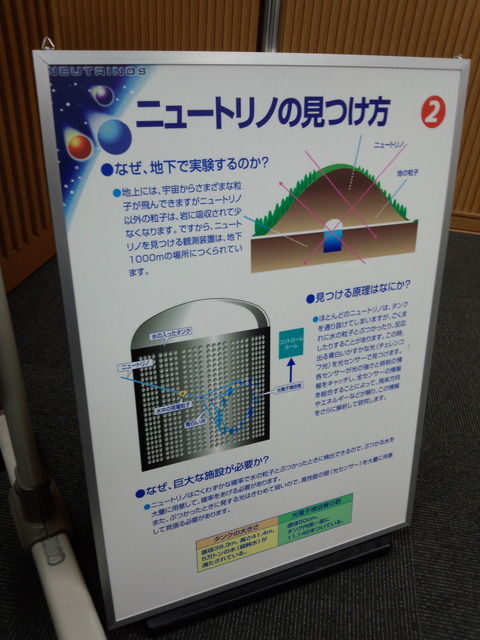 81f68431-s