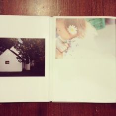 写真 (8)