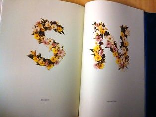 SN3F3311