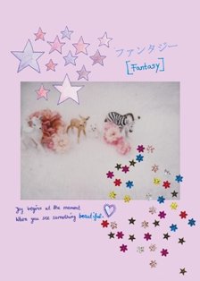backcover