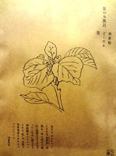 赤