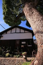 IMG_9730