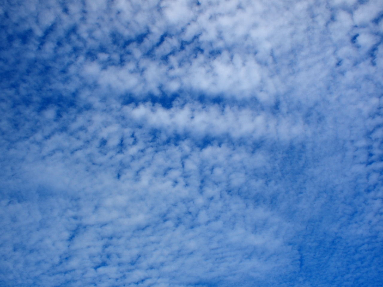 PB030255