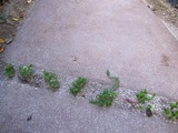 R0011787