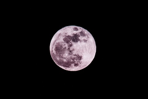 IMG_0061245