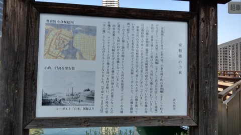 IMAG6273