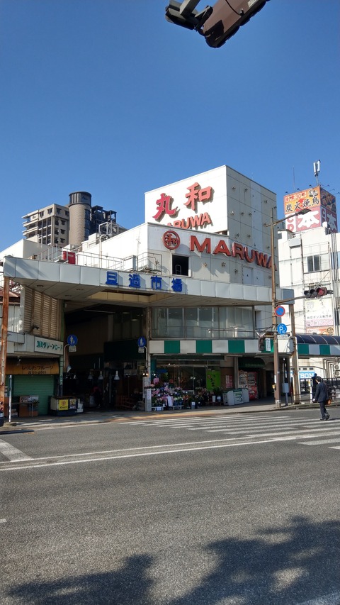 IMAG6254