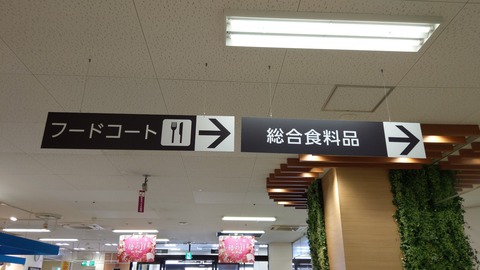 IMAG6089