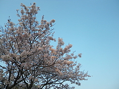 IMGP0955 IMGP0955