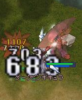 ダークピンギ