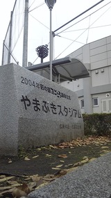 2374929b.jpg