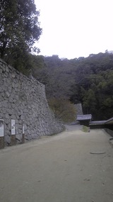f87d9d61.jpg
