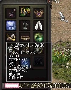 買っちまった