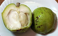 200px-White_sapote2