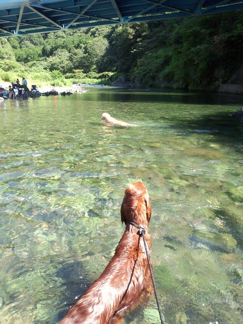 2014.8.29パン君1