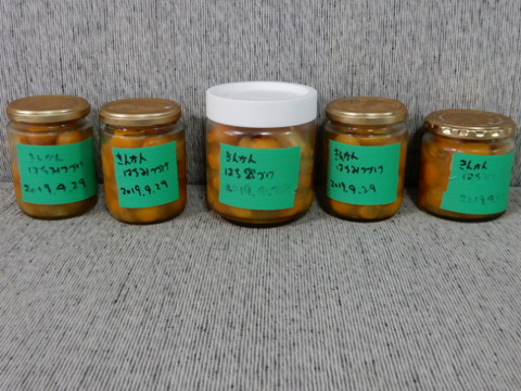 DSCN3913