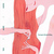 tbkg_jacket-thumbnail2