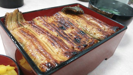 うな重(松)