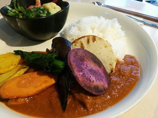 tomato&chicken curry