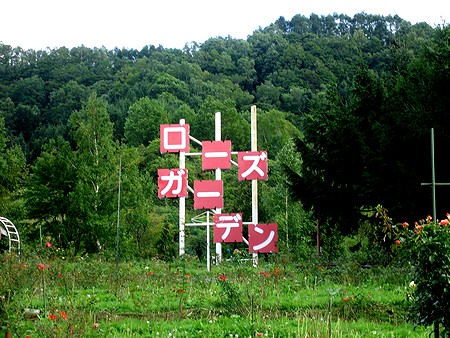 博士、残念です。鹿は多分バラが大好きなんだ。