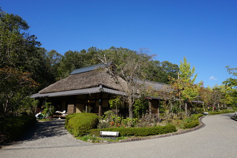 DSC06625