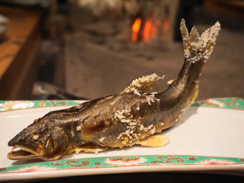 DSC06363 (1)