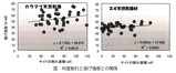 割れと強度の関係