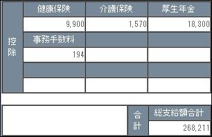 お給料明細6月