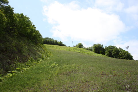 Fus0618-2