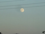 DSCF8325