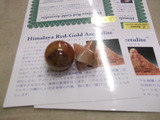 DSCF6446
