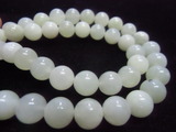 CIMG9684