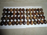 CIMG7844